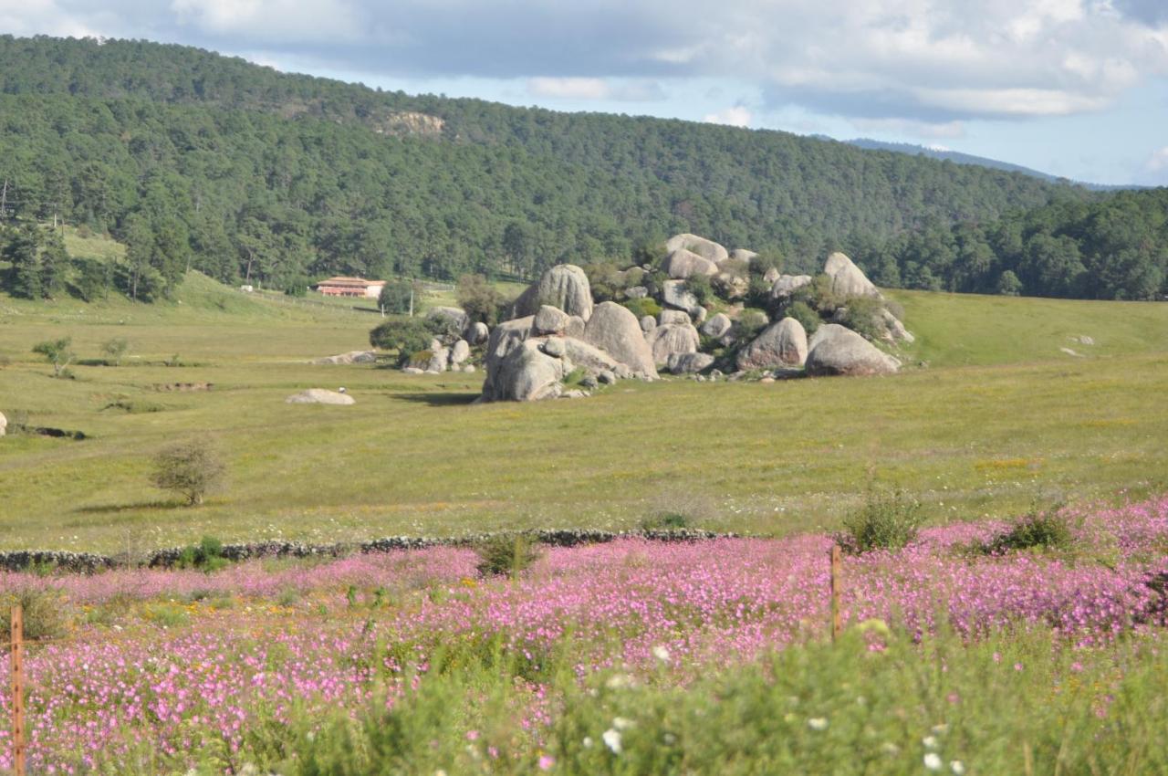 Hotel La Casona Tapalpa Zewnętrze zdjęcie